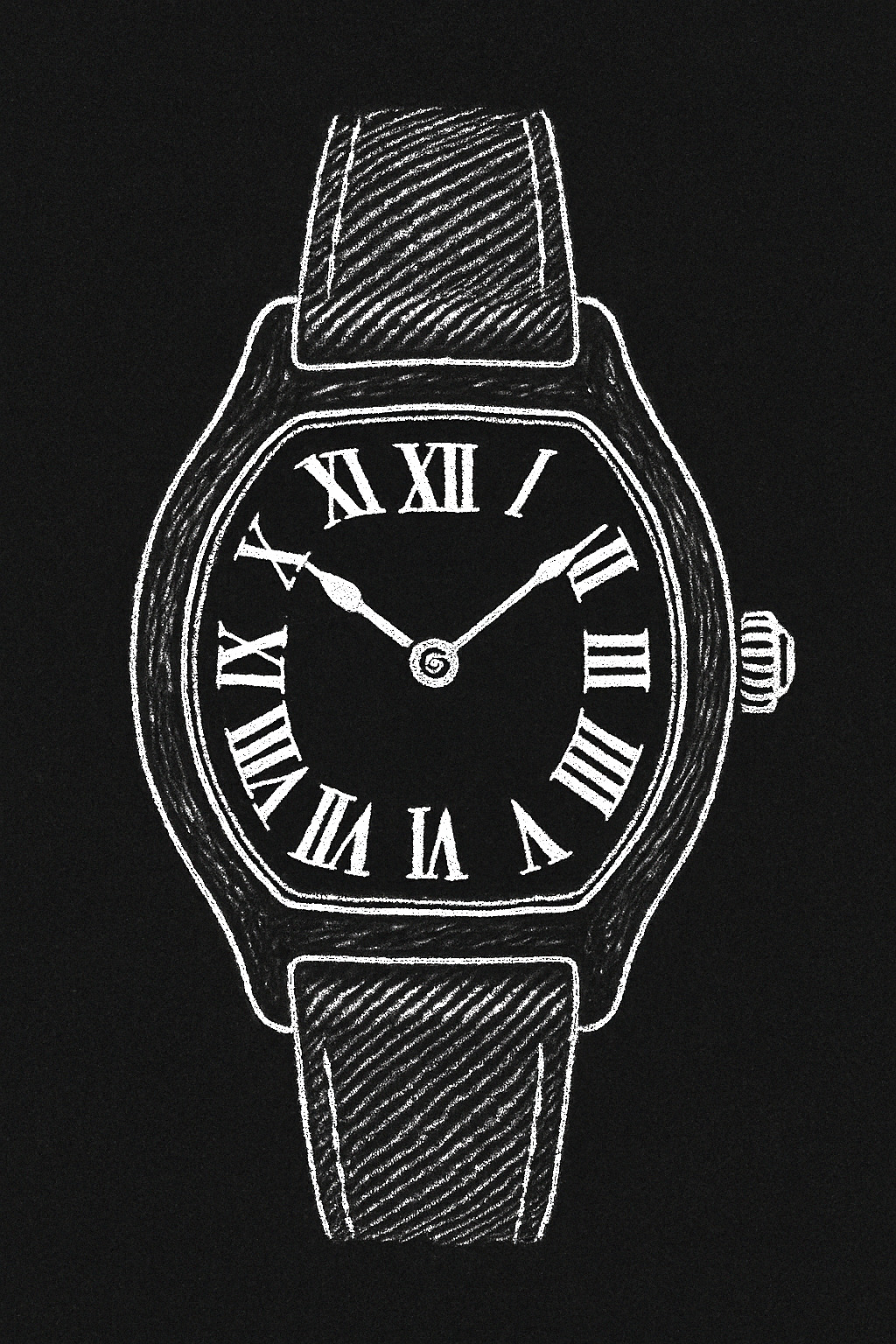 Blueprint illustration of tortue